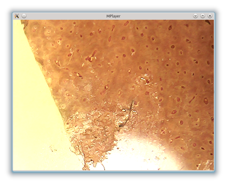 /uploads/images/stories/articles/cam-4/mplayer.png