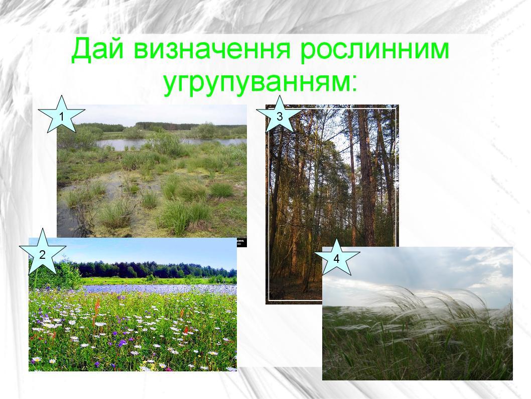 https//linexp.ru/uploads/images/stories/articles/school/nata.jpg